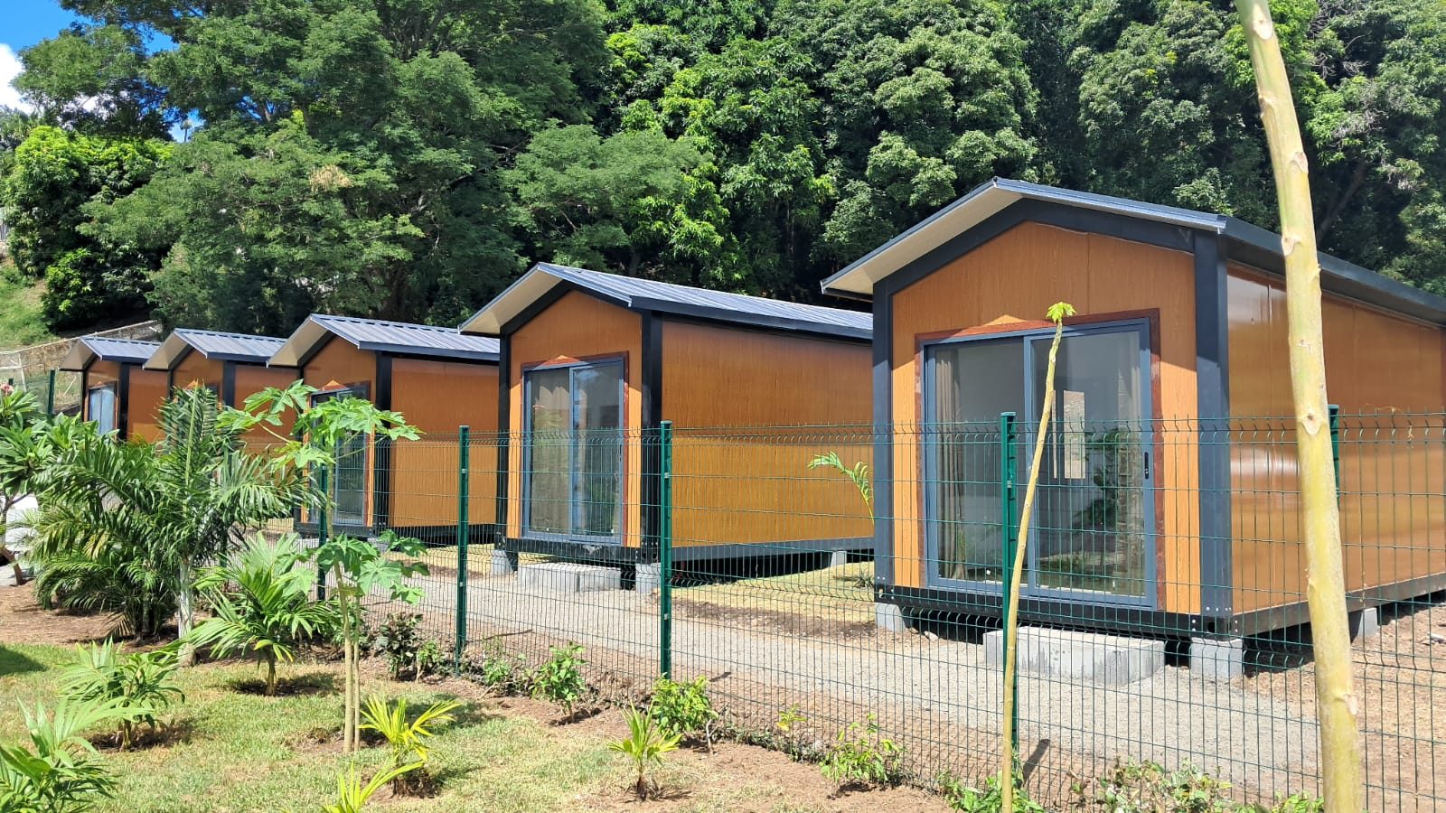Rangée de modules terminés, bardage bois et menuiseries aluminium, dans un jardin planté